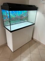 Aquarium Komplett-Set 220l Fluval Nordrhein-Westfalen - Reichshof Vorschau