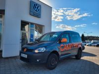 Volkswagen Caddy Kombi Roncalli  4Mot AHK Seikel Allterrain Sachsen - Königsbrück Vorschau