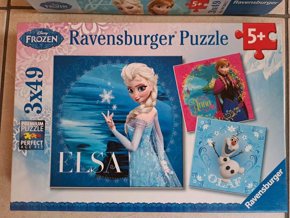 Fanset Frozen Anna Elsa Die Eiskönigin in Parkstein