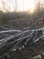 Brennholz Birke Sachsen-Anhalt - Eisleben Vorschau