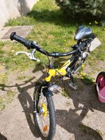 20' Kinderfahrrad Little John Bikes Sachsen - Pulsnitz Vorschau