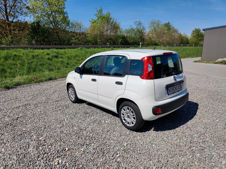 Fiat Panda 1,2 in Kelheim