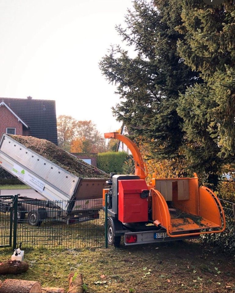 Baumpflege Häckselarbeiten Sturmschaden Baumfällung Hubsteiger in Ladbergen