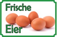 Frische Landeier Müritz - Landkreis - Waren (Müritz) Vorschau