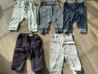 Hosen Set Jogginghosen Cord Gr. 62 Nordrhein-Westfalen - Rahden Vorschau