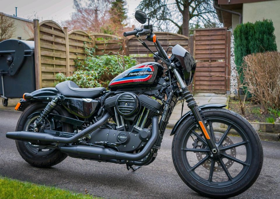 Harley Davidson Sportster Iron in Gelsenkirchen