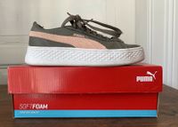 Puma Sneaker Turnschuh Schuhe in OVP Gr. 37 Top! Niedersachsen - Braunschweig Vorschau