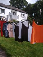 Gr 44 Damenbekleidung Nordrhein-Westfalen - Hövelhof Vorschau
