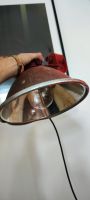 Tesla Vintage Industrial Style Lampe 230V E27 Wand CSSR Pankow - Prenzlauer Berg Vorschau