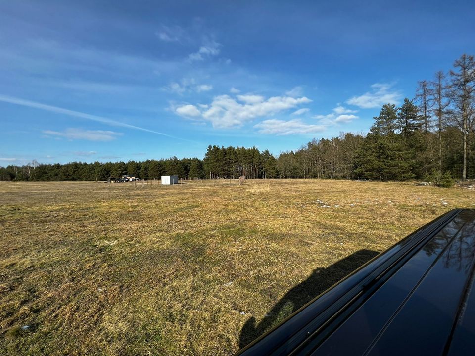 Polen Baugrundstücke in ruhiger Lage am Wald in Görlitz