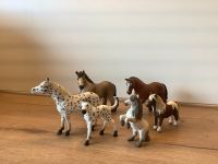 6 Schleich Pferde Tiere Sammlung Niedersachsen - Gifhorn Vorschau