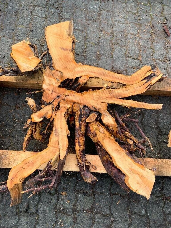 Apfelbaumscheibe Baumscheibe Tischplatte Holzbohle Tisch in Staßfurt