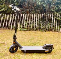 E-Scooter Segway Ninebot G30D Max E-Scooter mit 65 Km Reichweite Niedersachsen - Gifhorn Vorschau