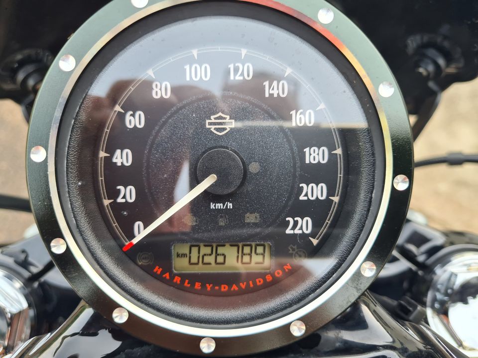 Harley Davidson Sportster 48 XL1200X in Schmelz