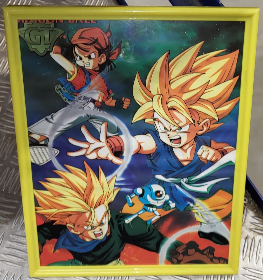 Dragonball Bild mit Bilderrahmen in Telgte