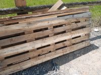 Holzpaletten zu verschenken Nordrhein-Westfalen - Brakel Vorschau