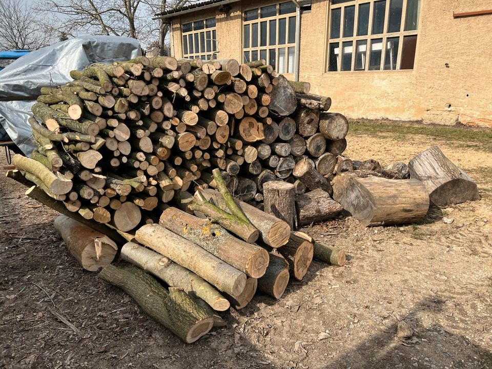 Feuerholz Brennholz Esche Eiche Laubholz in Nossen