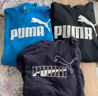 Puma Hoddie / Pullover im Set Rheinland-Pfalz - Zerf Vorschau