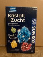 Kosmos Kristall-Zucht ❗️NEU❗️ Nordrhein-Westfalen - Ochtrup Vorschau