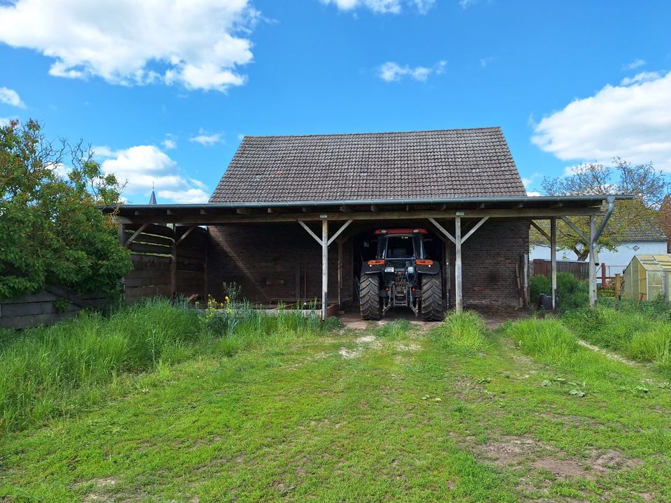 Bauernhof Bauernhaus Haus zur Miete Pferdehaltung in Gransee