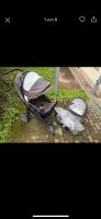 Kinderwagen Dresden - Blasewitz Vorschau