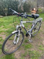 Herren Trekking Bike Pegasus SL Brandenburg - Brieselang Vorschau