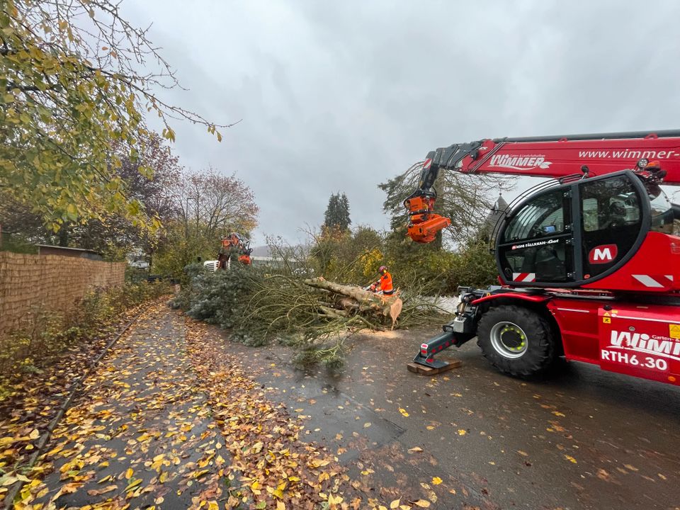 Baumfällung Forstmulchen Wimmer in Altenkunstadt