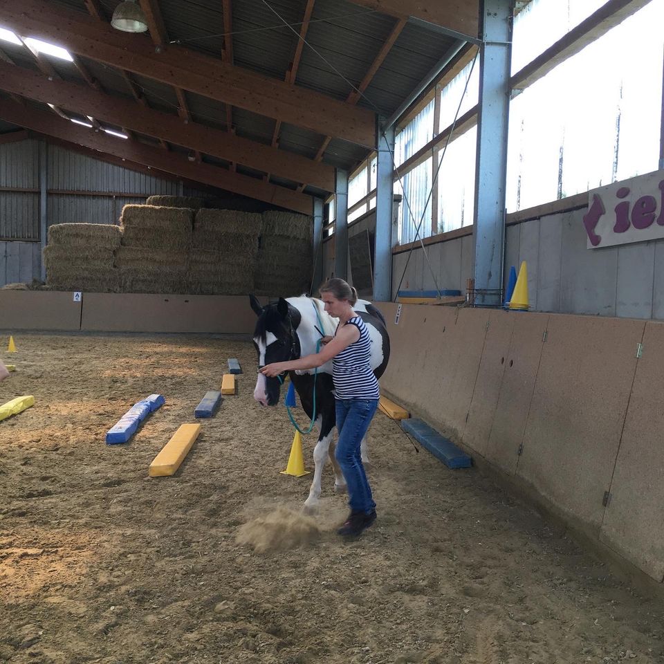 Bodenarbeit Equikinetic DualAktivierung in Arnsberg