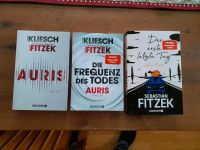 Sebastian Fritzek Set Auris, Die Frequenz des Todes, letzter Tag Bayern - Igling Vorschau