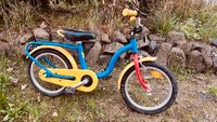 18 Zoll Kinderfahrrad Hessen - Friedberg (Hessen) Vorschau