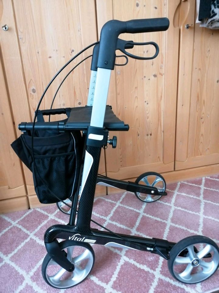 Rollator Carbon in Bad Säckingen