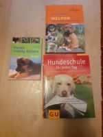 Bücher Hunde richtig füttern , Hundeschule, Welpen  erziehung Düsseldorf - Stadtmitte Vorschau