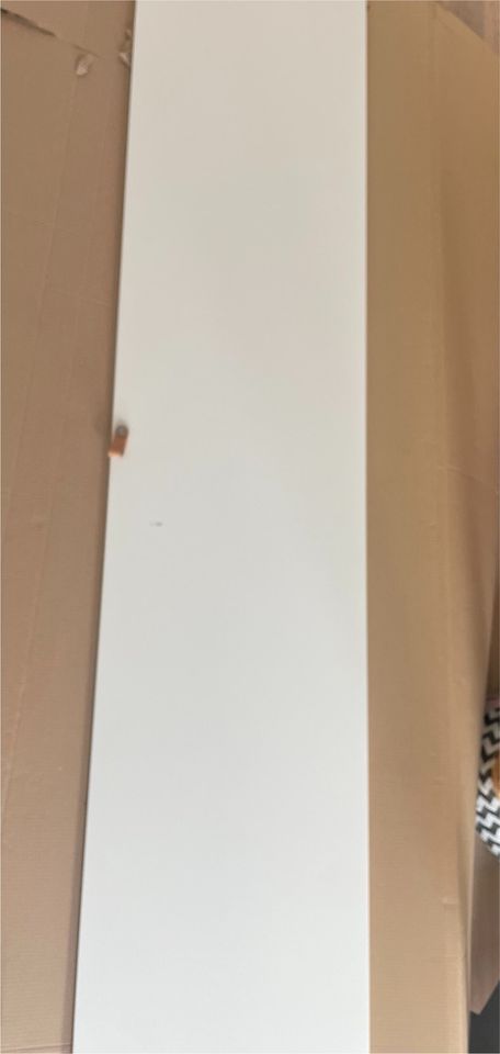 Ikea Pax Schranktür Forsand weiß 229x50 cm zu verschenken in Waltrop
