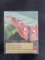 Schmetterlinge der Superlative Rheinland-Pfalz - Bechhofen Vorschau