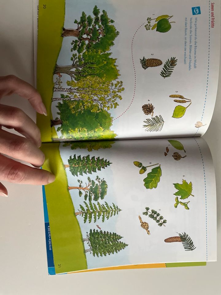 Im Wald Buch in Gescher