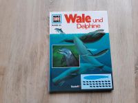 Was ist was Wale und Delphine Band 85 Brandenburg - Prenzlau Vorschau