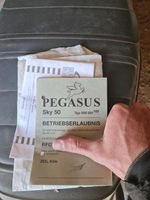 Pegasus Sky 50 Papier Baden-Württemberg - Winnenden Vorschau