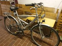 Fahrrad 21-Gang Silber 28 Zoll Rheinland-Pfalz - Worms Vorschau