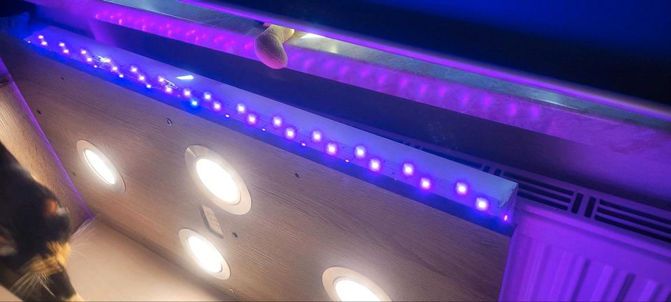 LED - Deckenleuchte mit Farbwechsel in Storkow (Mark)