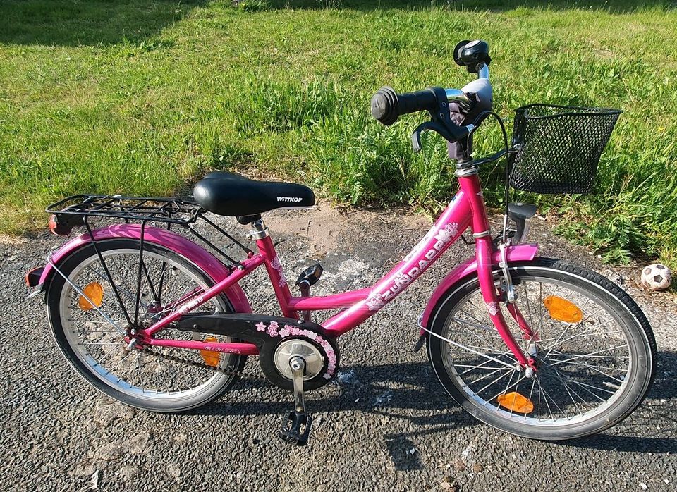 Kinderfahrrad 20 Zoll in Nienburg (Weser)