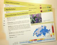 Verbreitungskarten Fauna der Schweiz Schmetterlinge Vög. Rept. ua Rheinland-Pfalz - Westernohe Vorschau