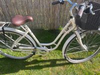 Excelsior Swan Retro Holland Fahrrad in beige Bayern - Wolfratshausen Vorschau