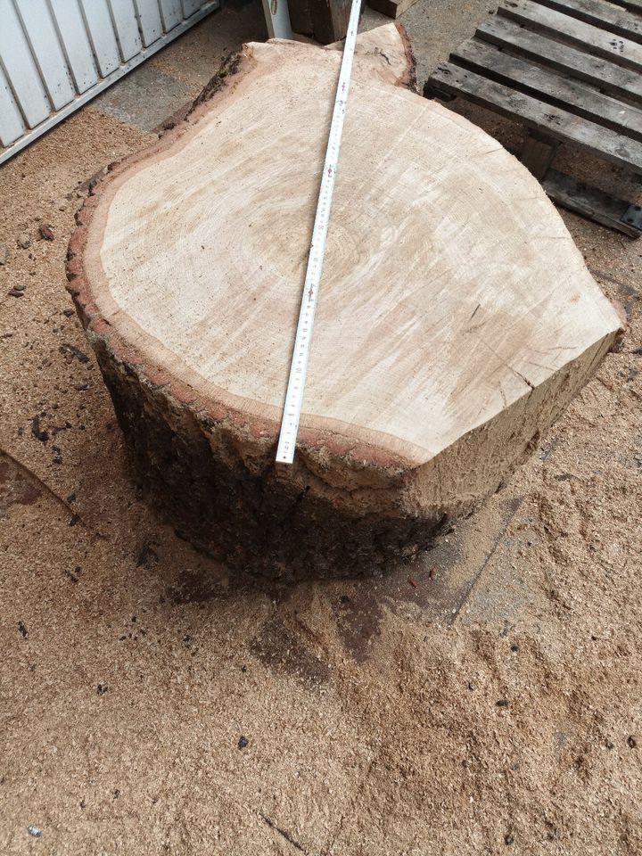 Holz Eiche trocken Eichenholz Eichenbaum Eichenstamm Baumstamm in Schöneiche bei Berlin