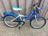 Pegasus 20" MTB Kinderfahrrad Niedersachsen - Clenze Vorschau