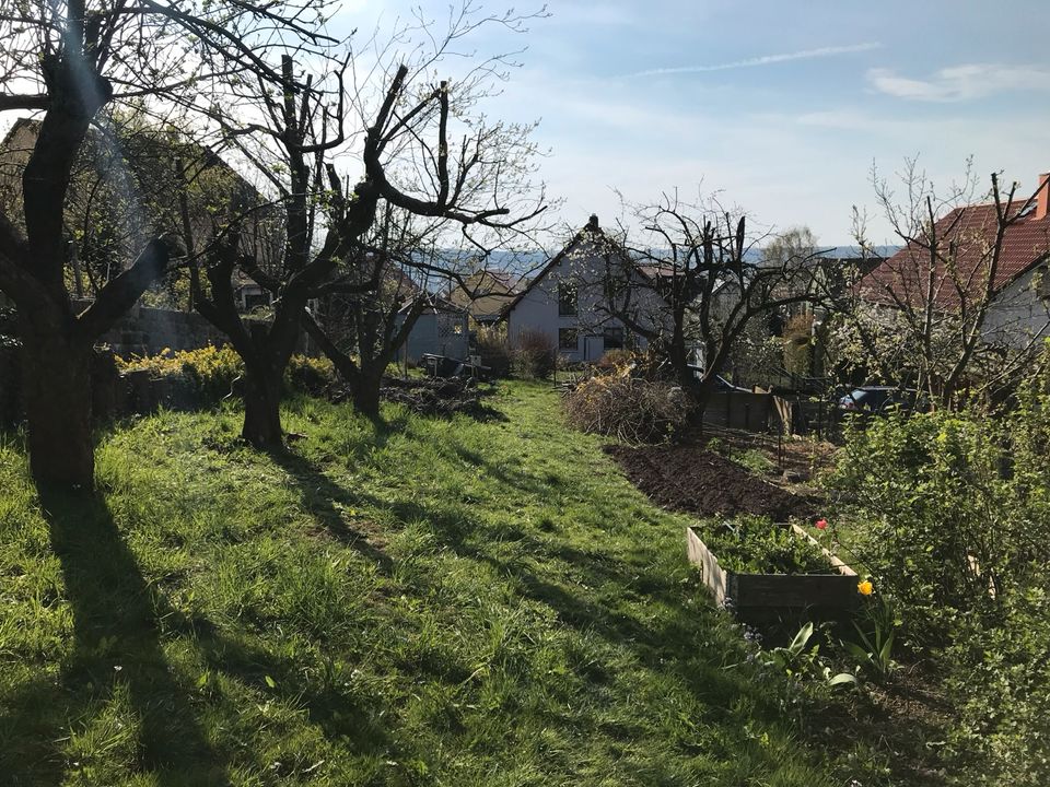 Verkauf eines Gartengrundstücks / Bauoption in Freital