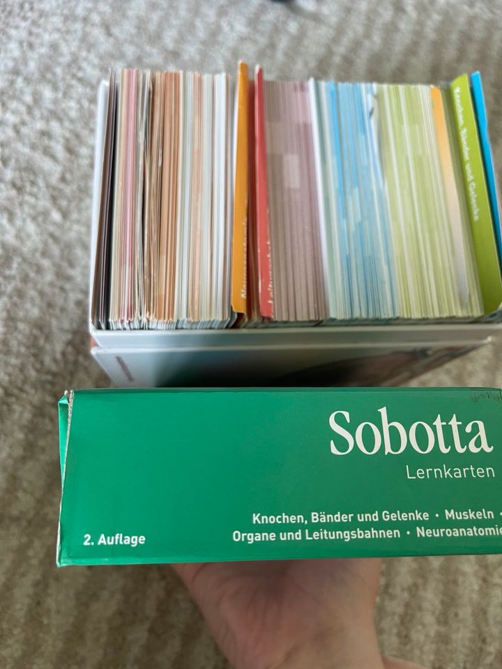 Sobotta Lernkarten Anatomie in Sentrup