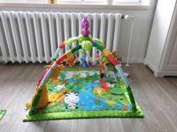 Spielebogen Dschungel Rainforest Fisher-Price Mecklenburg-Vorpommern - Bergen auf Rügen Vorschau