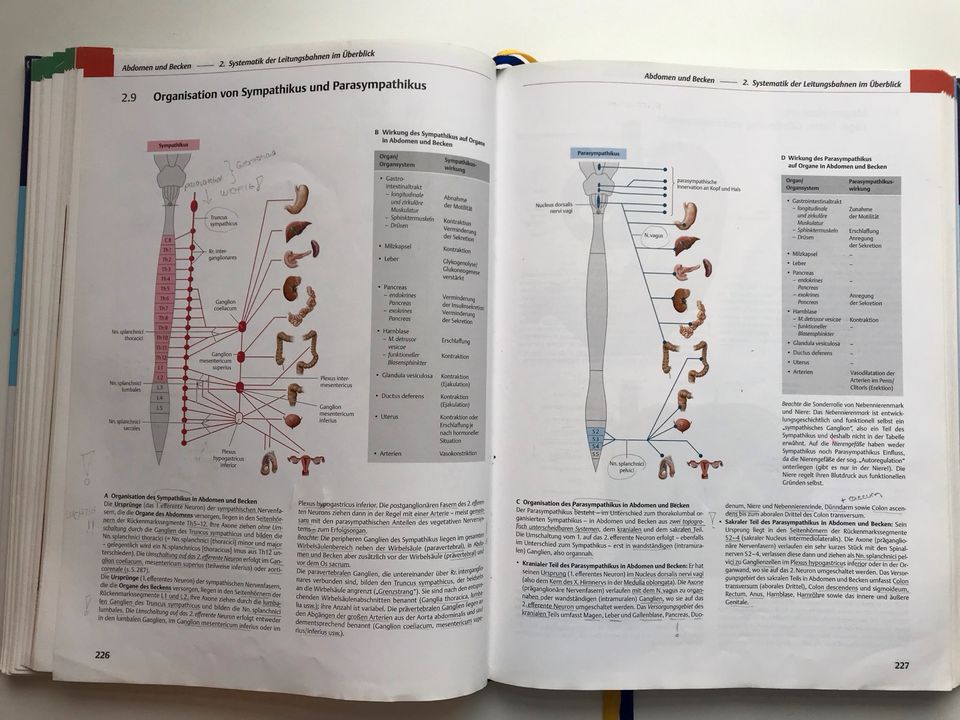 Prometheus Anatomie Innere Organe 4. Auflage Medizin unmarkiert in Göttingen