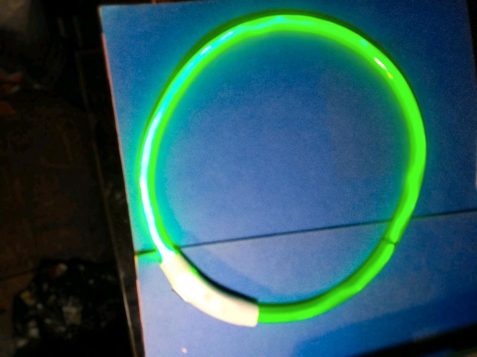 LED Hundehalsband ( NEW) USB in Uedem