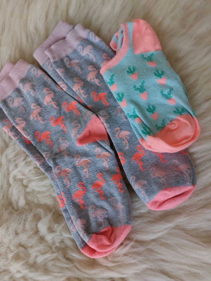 Socken 38-40☆ Hema Kaktus Flamingo 3 Paar Set zu 1€ in Wuppertal